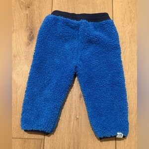 The North Face Cozy Blue Fleece Pants